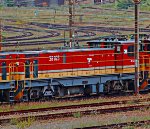 SAS 38-025